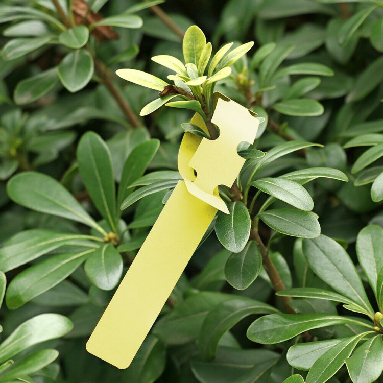 100片園藝植物幼苗種子懸掛樹標籤，植物標籤5黃色，植物標籤5綠色，植物標籤5藍色，植物標籤5紅色，植物標籤5白色，植物標籤5粉色