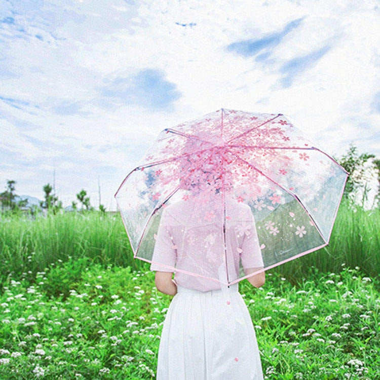 櫻花透明三折傘 個人折疊傘