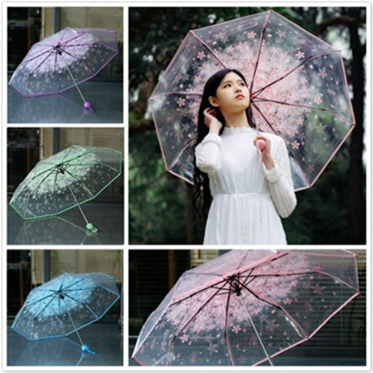 櫻花透明三折傘 個人折疊傘
