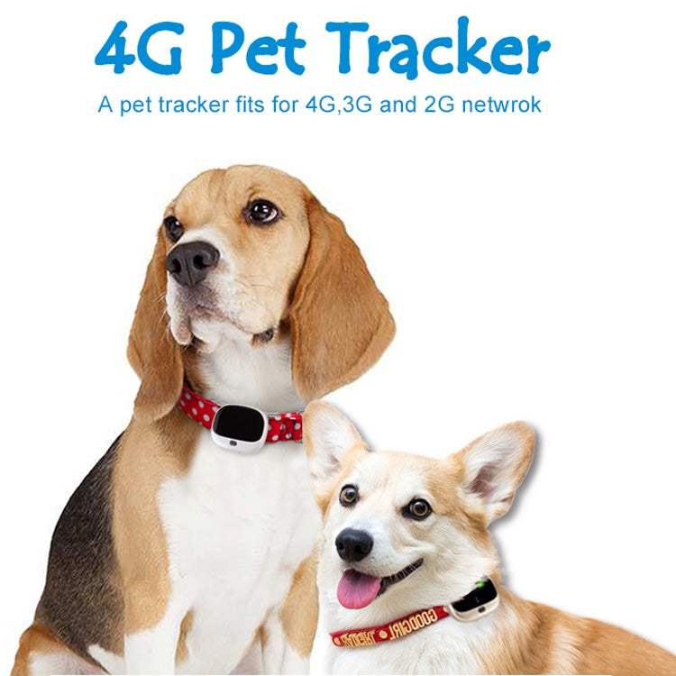 RF-V43 A 款 IP67 防水 GPS + LBS + WiFi 寵物定位器 寵物項圈追蹤裝置 適用亞洲／歐洲／非洲／澳洲，RF-V43 A 款（黑色），RF-V43 A 款（白色）