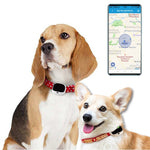 RF-V43 A 款 IP67 防水 GPS + LBS + WiFi 寵物定位器 寵物項圈追蹤裝置 適用亞洲／歐洲／非洲／澳洲，RF-V43 A 款（黑色），RF-V43 A 款（白色）