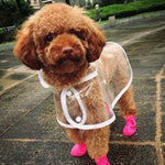 Lovely Pet Dog Shoes Puppy Candy Color Rubber Boots Waterproof Rain Shoes, S, Size: 4.3 x 3.3cm - Trustpick