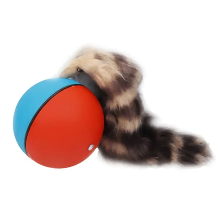 Motorized Rolling Chaser Ball Toy for Dog / Cat / Pet / Kid, Random Color Delivery - Trustpick