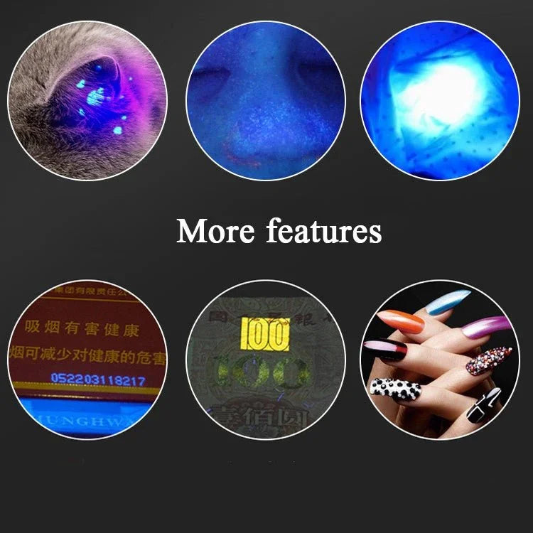 USB Rechargeable Laser Pattern Funny Cat Flashlight With Woods Purple Light Detection Lamp - Trustpick